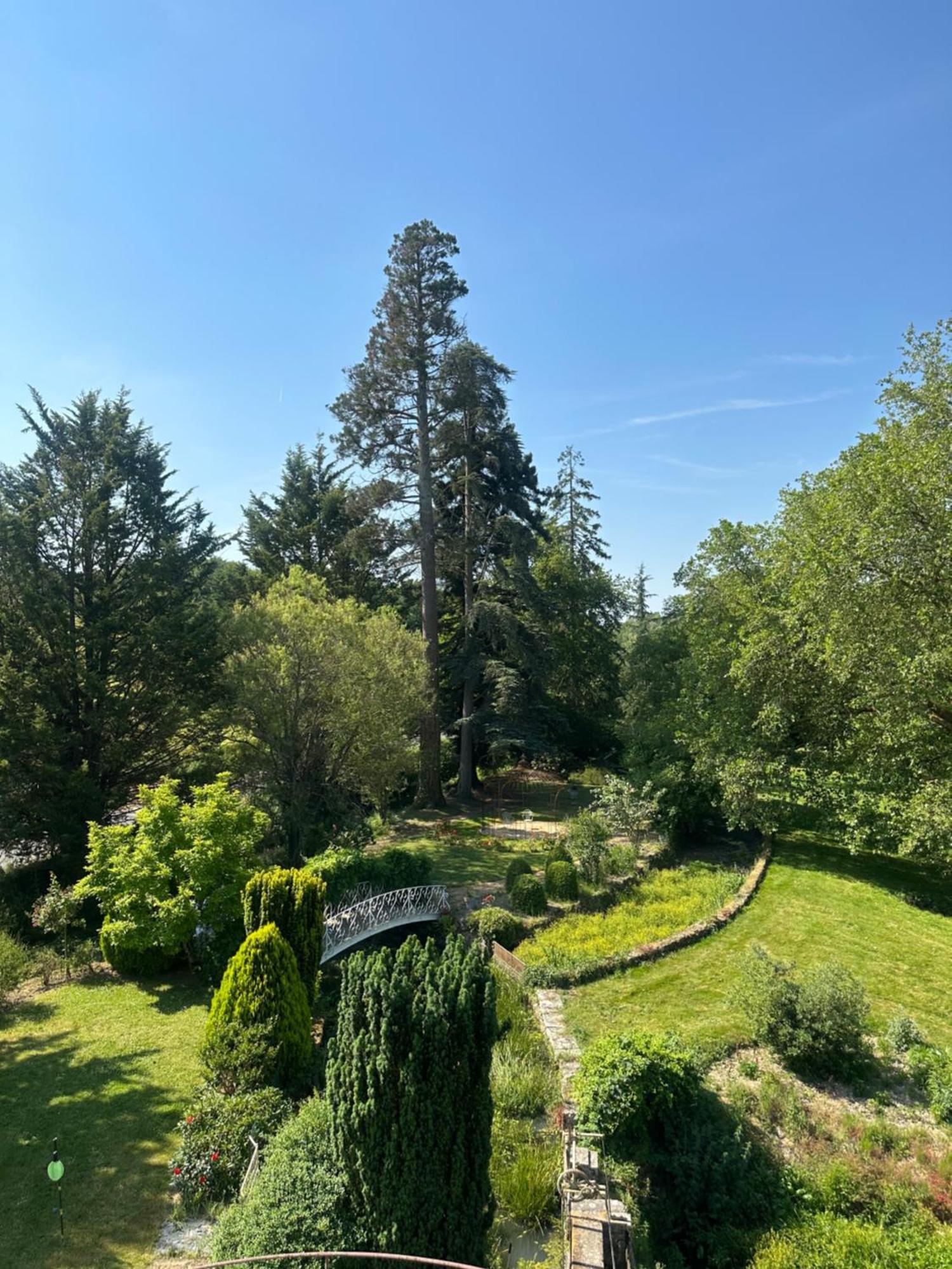 Bed and Breakfast Le Moulin De Francueil Exterior foto