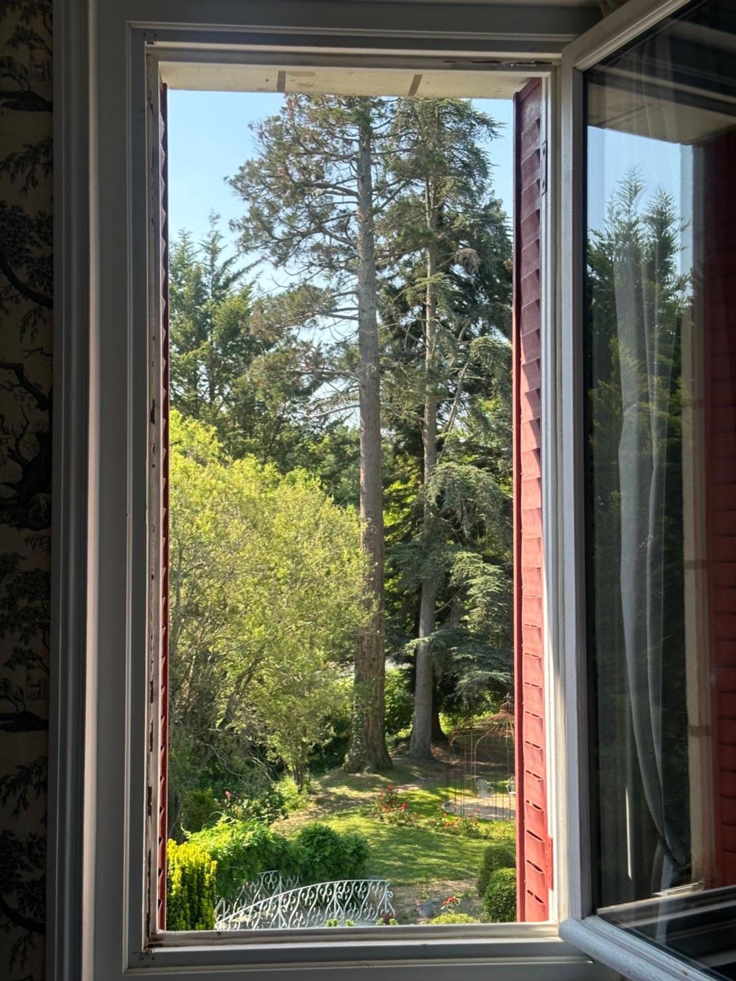 Bed and Breakfast Le Moulin De Francueil Exterior foto