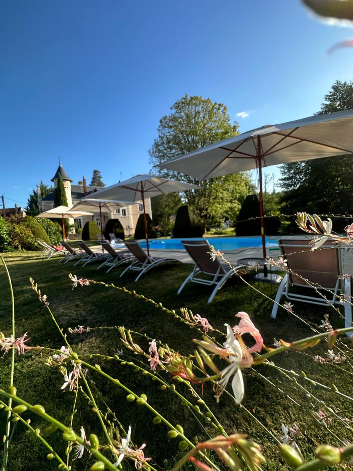 Bed and Breakfast Le Moulin De Francueil Exterior foto